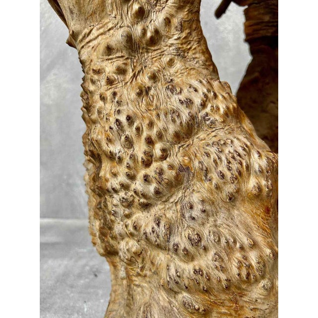Wood Wabi-Sabi Japanese Sculptural Root Wood Object, 1950s For Sale - Image 7 of 9