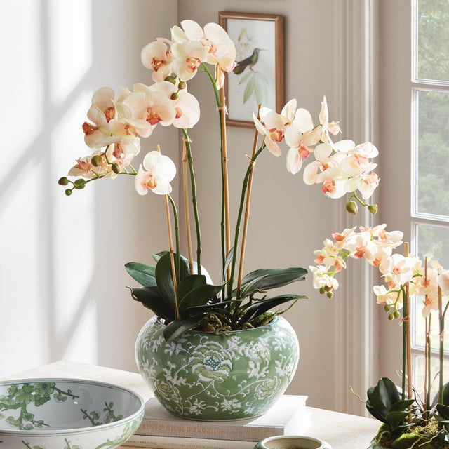 Early 21st Century Imperial Lotus Planter Small For Sale - Image 5 of 5