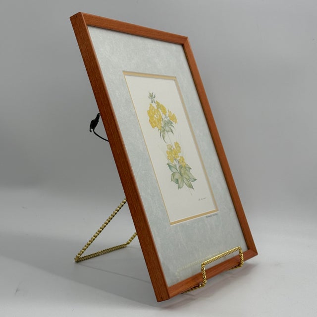 Title: Vintage Margot Weemaes Primula Kewensis Botanical Print 1981 Framed For Sale - Image 11 of 11