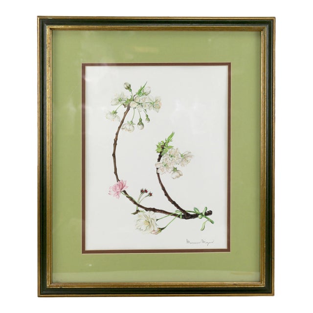 Vintage Hand-Painted Plant Specimen Watercolor Cherry Blossom Specimen (With Frame). Signed in the Lower Right Corner For Sale