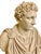 White Mark Antony Bust, Sculpture and Column, 20th-Century For Sale - Image 8 of 10
