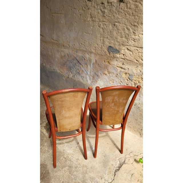 Set of Art Nouveau Chairs by Michael Thonet, 1890s For Sale - Image 6 of 12