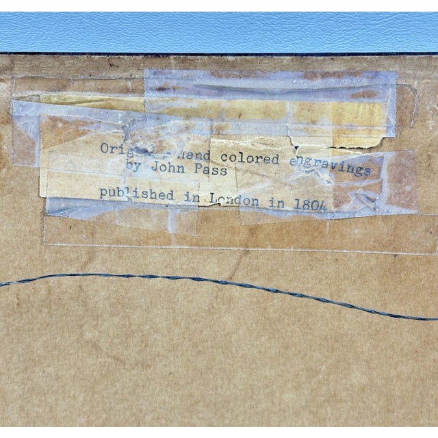 The Maimon, or Pig-Tailed Baboon - An Exceptional 18th-Century Natural History Engraving For Sale - Image 11 of 11