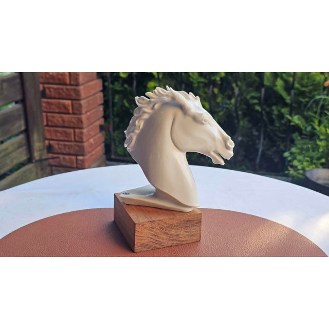 Porcelain Horse Head from Aelteste Volkstedter Porzellanmanufaktur, Thuringia, 1950s. For Sale - Image 9 of 9