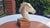 Porcelain Horse Head from Aelteste Volkstedter Porzellanmanufaktur, Thuringia, 1950s. For Sale - Image 9 of 9