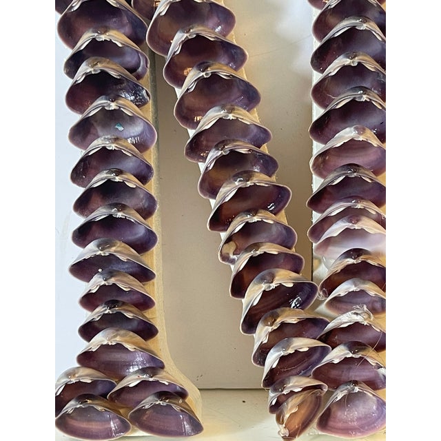 Coastal Sea Shell Encrusted Letter N For Sale - Image 3 of 3