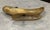 Bone Vintage Mid-Century Natural Steer Horn & Metal Desktop Cigar/Cigarette Ashtray - Ralph Lauren, Western Decor, Lodge, Cabin or Man Cave - See Pics! For Sale - Image 7 of 7