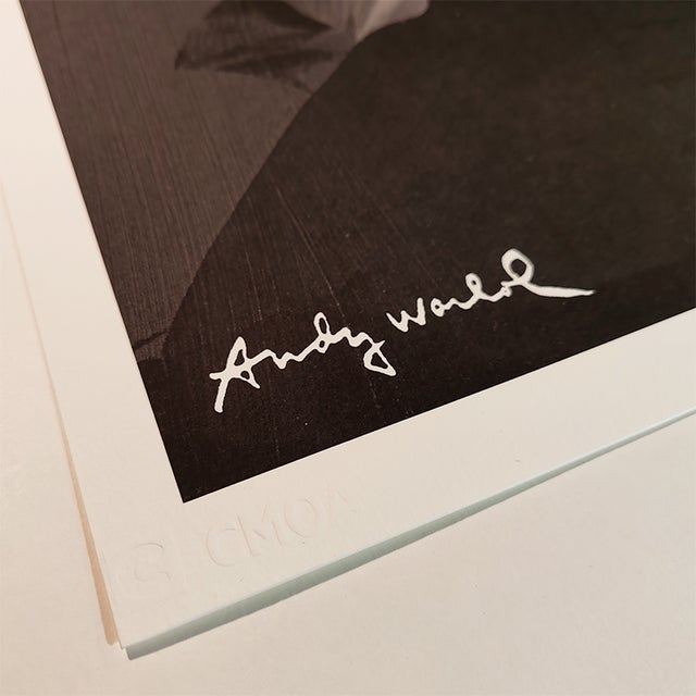 After Andy Warhol, Self-Portrait, Lithograph, 1980s For Sale - Image 4 of 8