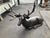 Large Life-Size Reclining Stag Garden Sculpture in Bronzed Cast Aluminium For Sale - Image 4 of 9