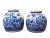 2020s Blue and White Aviary Chinoiserie Ginger Jars - a Pair For Sale - Image 5 of 5