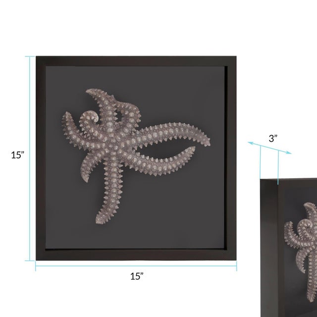 Black Star Fish Framed Art For Sale - Image 8 of 8