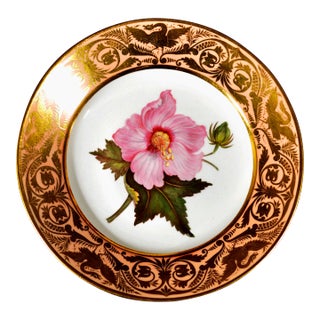 Antique Derby Porcelain Botanical Plate, Marsh Hibiscus, Salmon Ground With Gilt Swans, John Brewer, Circa 1815 For Sale