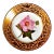 Antique Derby Porcelain Botanical Plate, Marsh Hibiscus, Salmon Ground With Gilt Swans, John Brewer, Circa 1815 For Sale