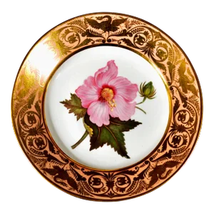 Antique Derby Porcelain Salmon Ground Plate, a Marsh Hibiscus, by John Brewer After William Curtis