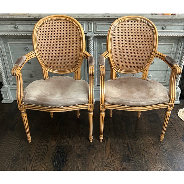 Pair Fratelli Boffi Italy ~ Louis XVI Cane Back Arm Chairs For Sale - Image 9 of 11