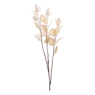 Seeded Eucalyptus Stem (Set of 2) For Sale
