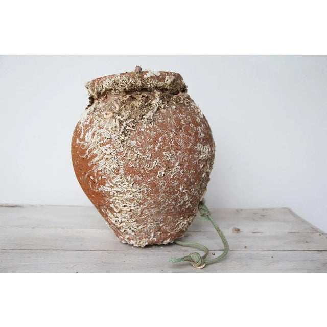 Rustic European 19th Century Terracotta Octopus Trap Vase For Sale - Image 3 of 12