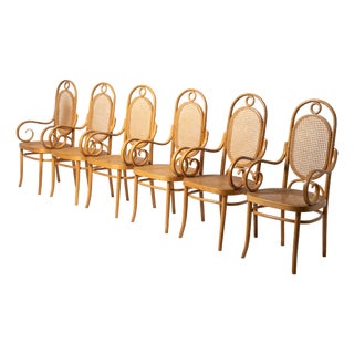 Bentwood No. 17 Long John Armchairs from Michael Thonet, Poland, 1980s, Set of 6 For Sale