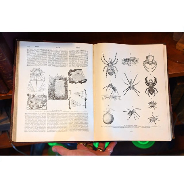 Full 6 Volume set of 1896 “Imperial Reference Library: Encyclopedia, Dictionary, and Atlas of the World”. Nearly four...