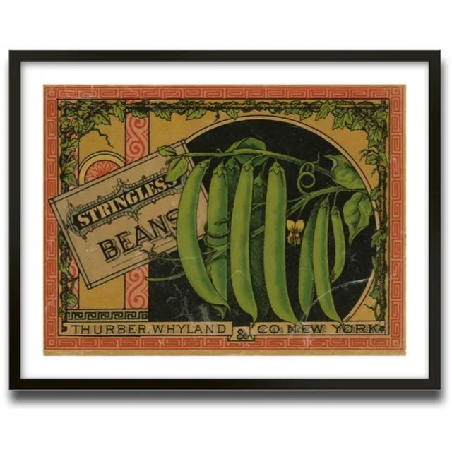 Vintage Green Bean Label Archival Print For Sale - Image 4 of 4