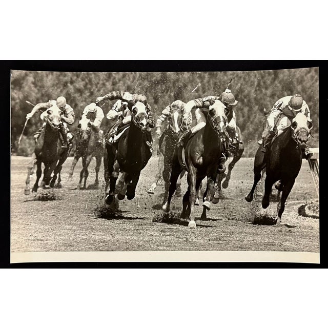 Traditional 1970s Florida Horse Racing Photograph For Sale - Image 3 of 3