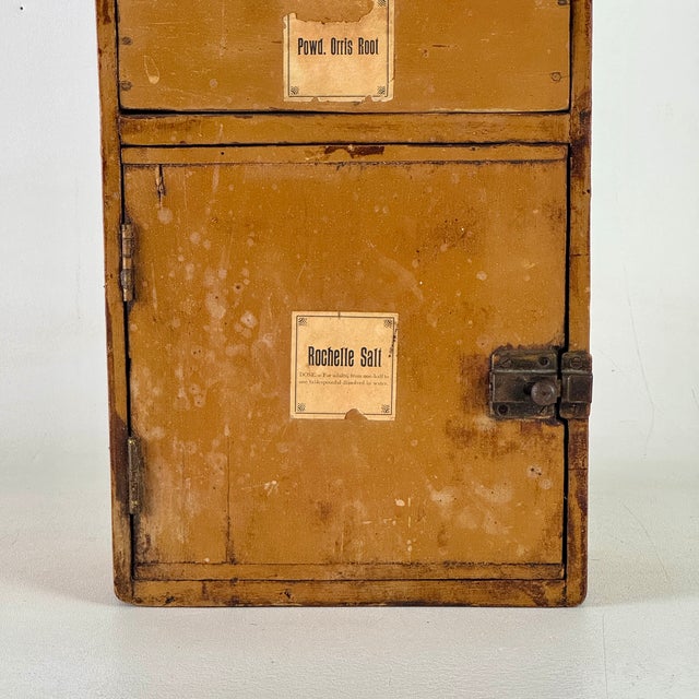 Spectacular Diminutive Antique Painted Pine Apothecary 3 Compartment Cupboard With Labels For Sale - Image 4 of 16