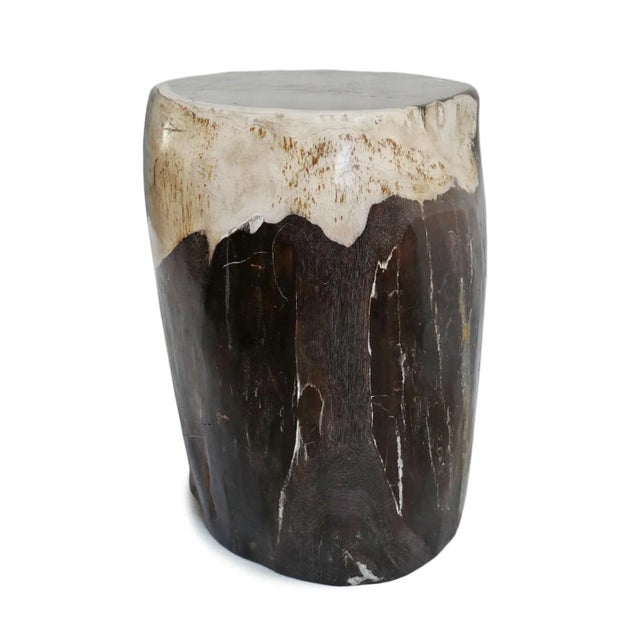 Early 21st Century Vintage Petrified Wood Stump Side Table For Sale - Image 5 of 8