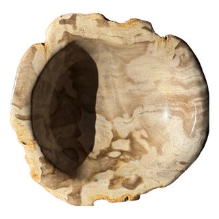 Round Beige Petrified Wood Bowl, 1980s For Sale