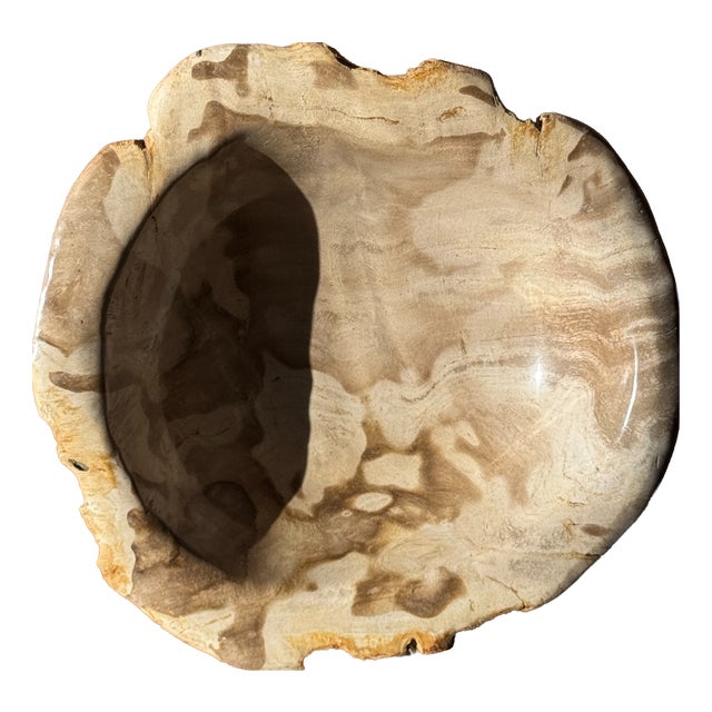 Round Beige Petrified Wood Bowl, 1980s For Sale