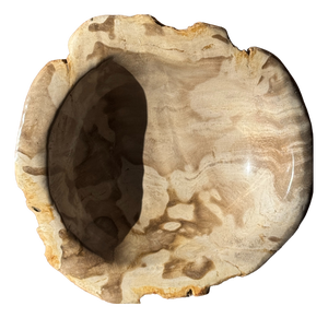 Round Beige Petrified Wood Bowl, 1980s