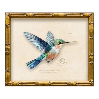 Reproduction Vintage "Garden Friends" Art Print Framed Blue Hummingbird For Sale