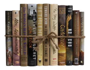Decorative Books - Boardwalk Dust Jacket Book Bundle - 1 Foot of Brown Books