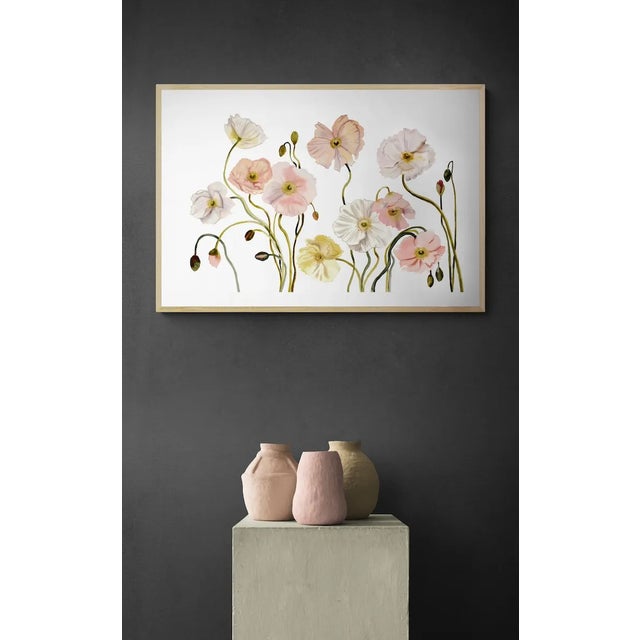 Original watercolor painting on 140 lb Arches cold press paper with deckled edges Artist: Elizabeth Becker Year: 2024...