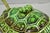 Vintage Tilso Japan Mid Century Modern Green Ceramic Figural Turtle Soup Tureen For Sale - Image 4 of 17