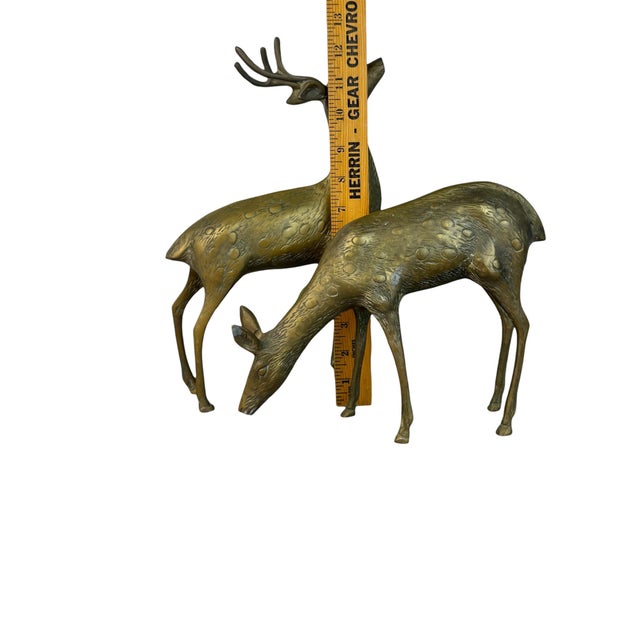 Mid 20th Century Set of 2 Mid Century Brass Deer Figurines, Buck & Doe For Sale - Image 5 of 15
