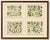 Black M. Fünfstück, Wildflowers & Medicinal Plants, 1890s, Chromolithograph, Set of 4 For Sale - Image 8 of 9