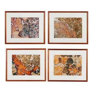 Late 20th Century Set of 4 Framed Hyperrealist Photographs For Sale