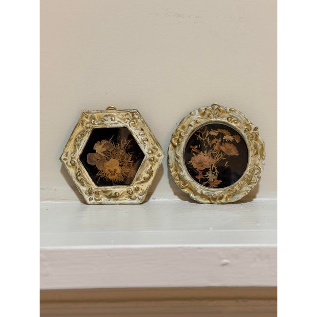 Vintage Set of Two Botanicals, Framed For Sale - Image 4 of 9