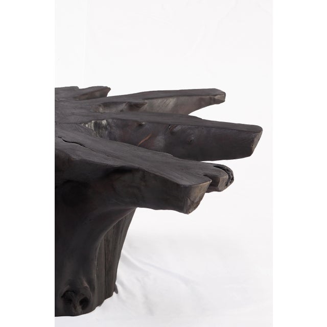 2020s Black Burnt Organic Teak Root Coffee Table 81 For Sale - Image 5 of 6