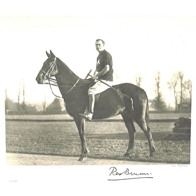 "International Sport Polo" 1931 Stock, Alphons For Sale - Image 11 of 12