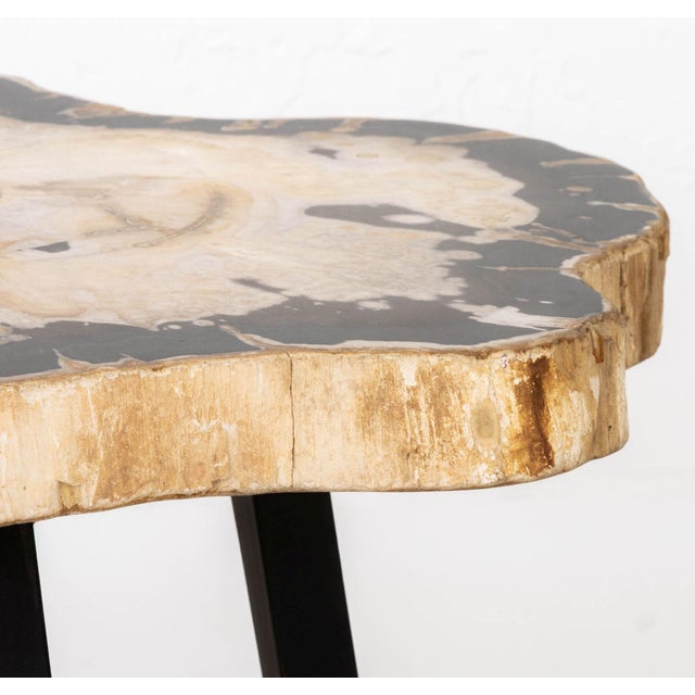 Contemporary Petrified Wood Side Table For Sale In New York - Image 6 of 10