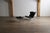 Black Set of Ari Lounge Chair and Ottoman by Arne Norell for Arne Norell Ab, Sweden, 1966 For Sale - Image 8 of 14