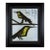 Bernard Buffet (1928 - 1999 ) Original Signed Lithograph | Custom Frame | Bird Couple For Sale
