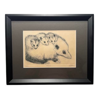 Vintage Christine McGinnis "Opossum" Limited Edition 52/300 Etching Signed For Sale