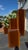 Brown John Stuart Mid-Century Modern Walnut & Cane 4-Piece Bedroom Suite For Sale - Image 8 of 12