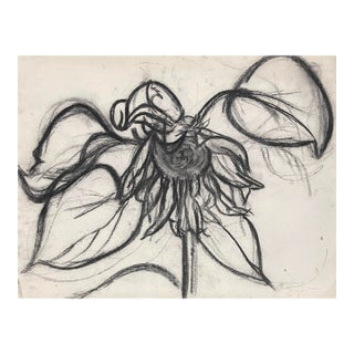 1980s Richard Snyder Large Flower Drawing For Sale