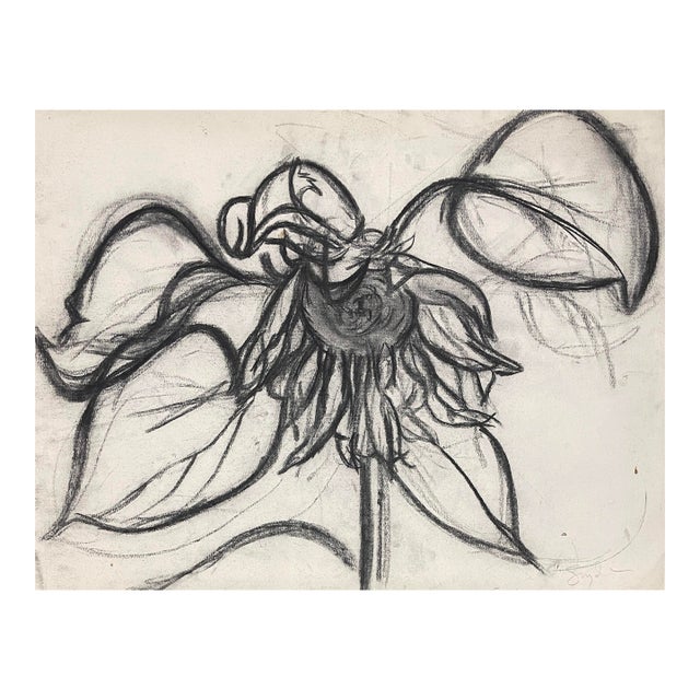 1980s Richard Snyder Large Flower Drawing For Sale