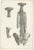 Early 19th Century Jules Cloquet, French Anatomical Lithographs, 1821, Lithograph, Set of 4 For Sale - Image 5 of 9