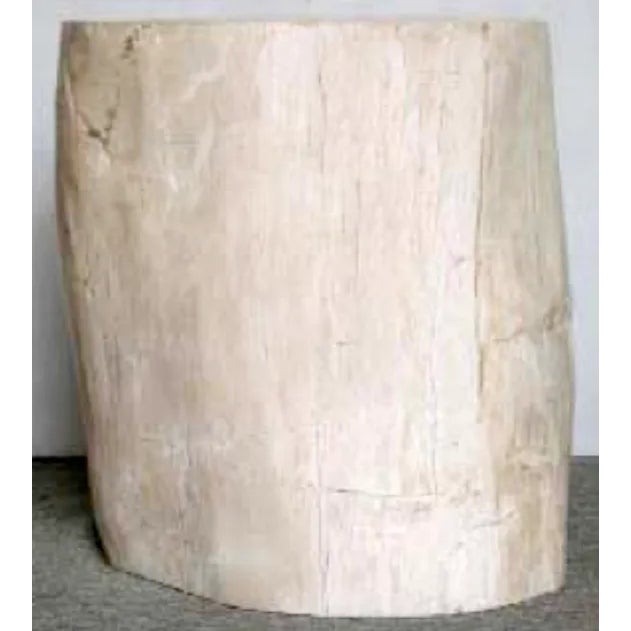 Petrified Pine Color: Ivory with gold tones 12” x 16” x 20” tall Petrified Wood Petrified wood stump is a natural product....