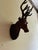 1960s Hanging Stag Head Leather Deer Head Wall Mounted Sculpture Wall Decor For Sale - Image 9 of 10